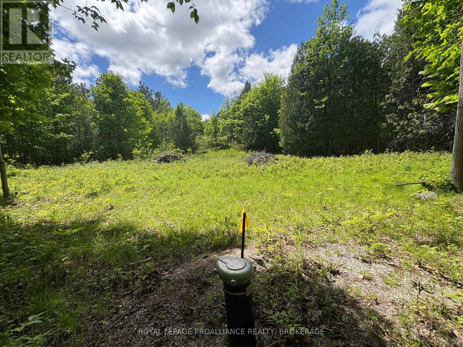 Pt Lt 7 Silver Rock Lane, Frontenac, Ontario  K0H 1W0 - Photo 8 - X13464348