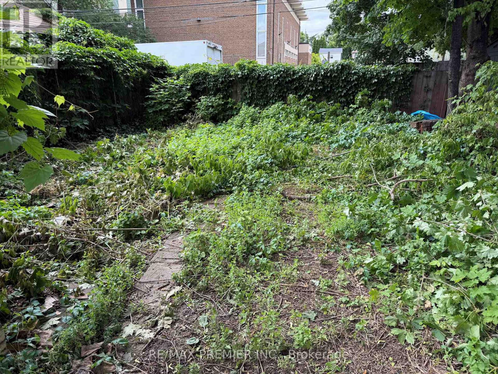 66 Lambton Avenue, Toronto, Ontario  M6N 2S1 - Photo 4 - W13464764