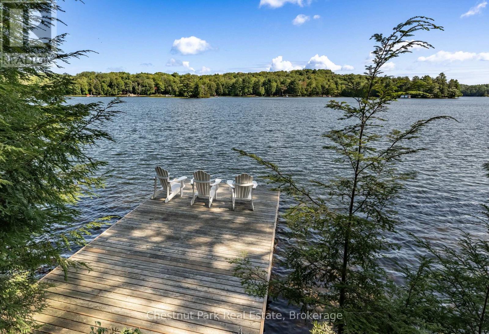 16 Fern Road, Seguin, Ontario  P0C 1J0 - Photo 34 - X13464616