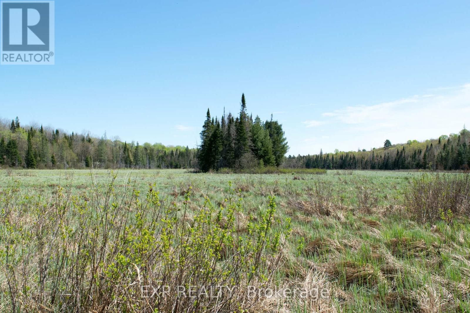 1800 Bear Cave Road, Muskoka Lakes, Ontario  P0C 1J0 - Photo 4 - X13464762
