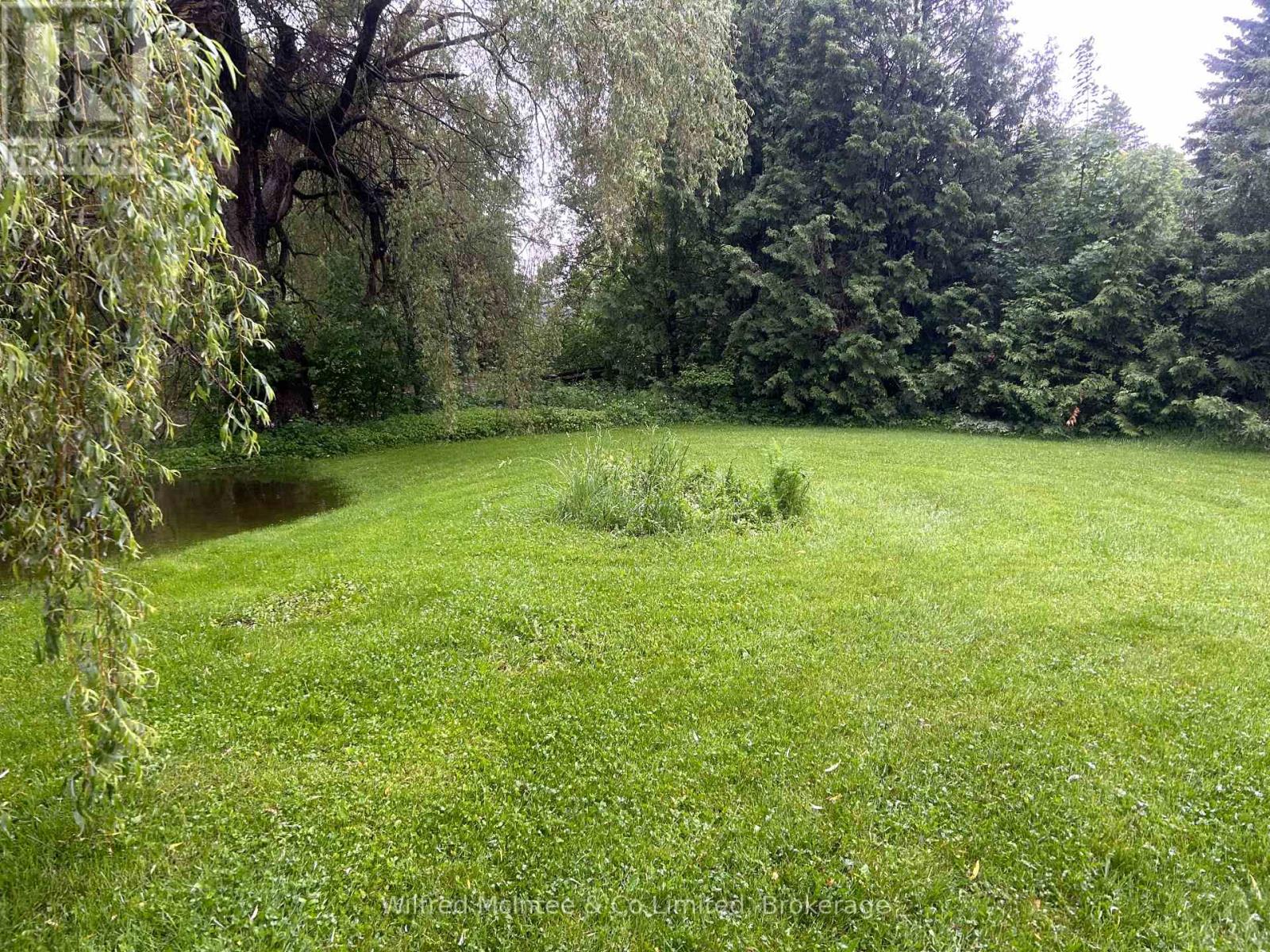 401866 Grey 4 Road, West Grey, Ontario N4N 3B8 - Photo 7 - X12986352