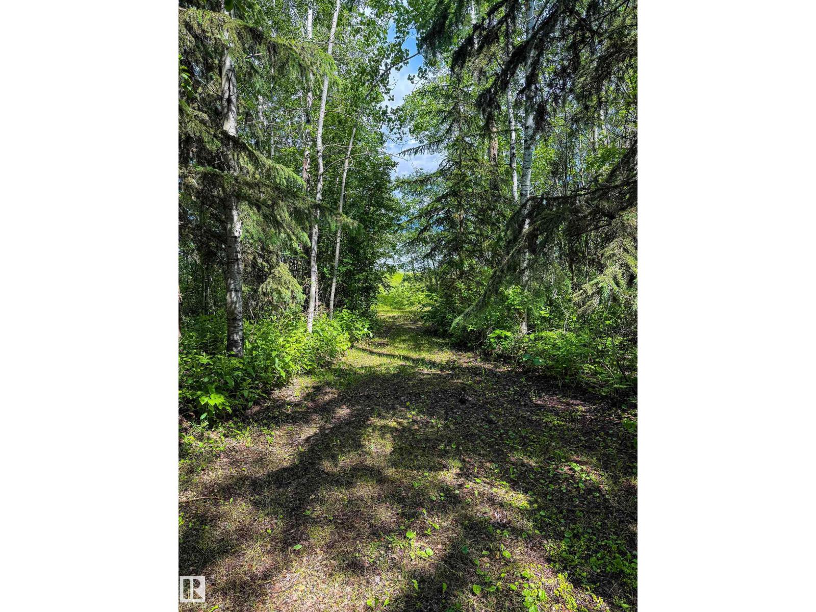 321 60501 Range Road 120, Rural St. Paul County, Alberta  T0A 0C0 - Photo 19 - E4494522
