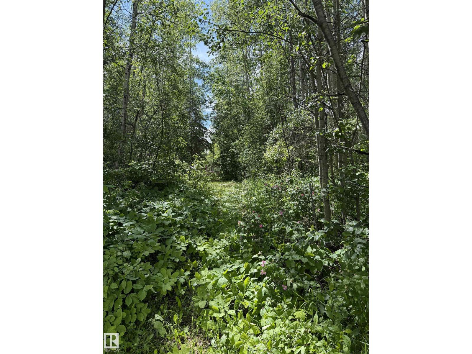 321 60501 Range Road 120, Rural St. Paul County, Alberta  T0A 0C0 - Photo 22 - E4494522