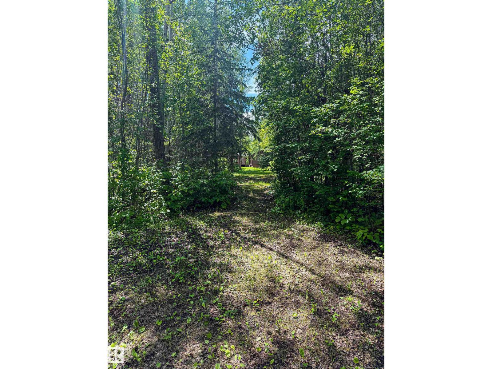 321 60501 Range Road 120, Rural St. Paul County, Alberta  T0A 0C0 - Photo 23 - E4494522
