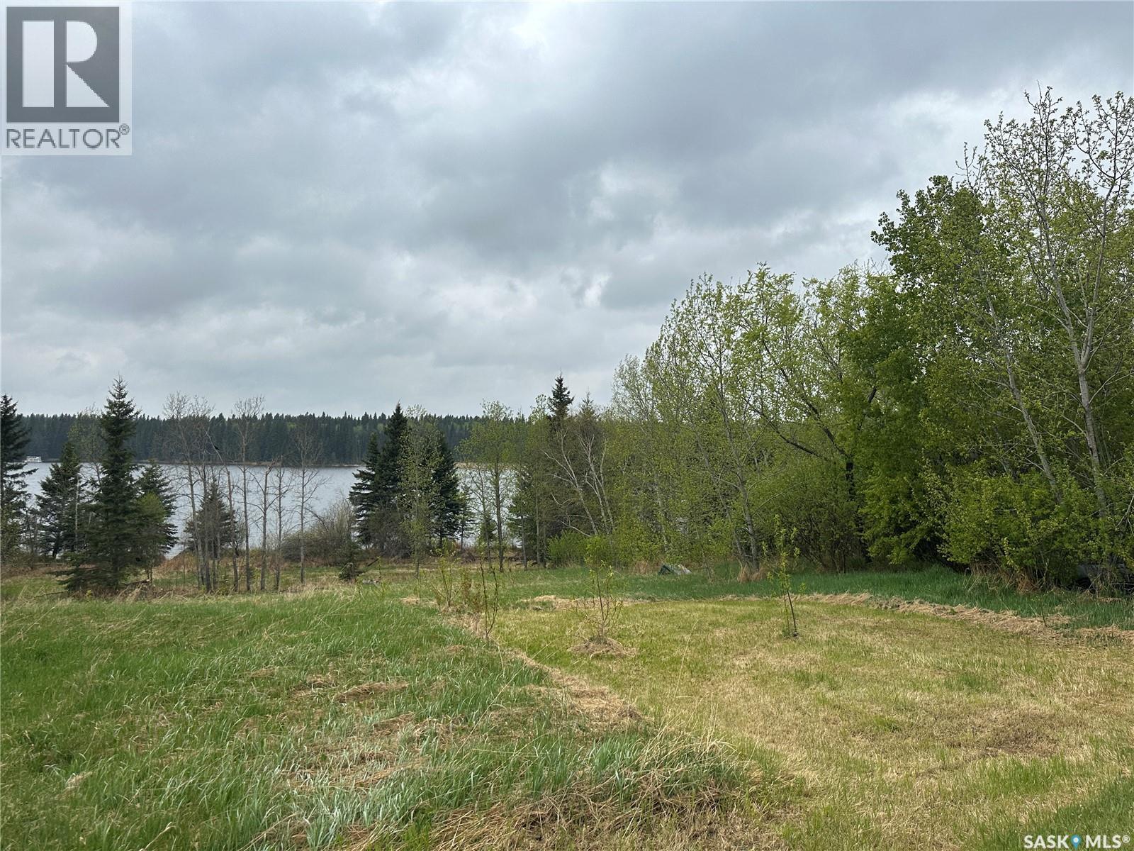 5&6 1st Avenue N, Big River, Saskatchewan S0J 0E0 - Photo 2 - SK040044