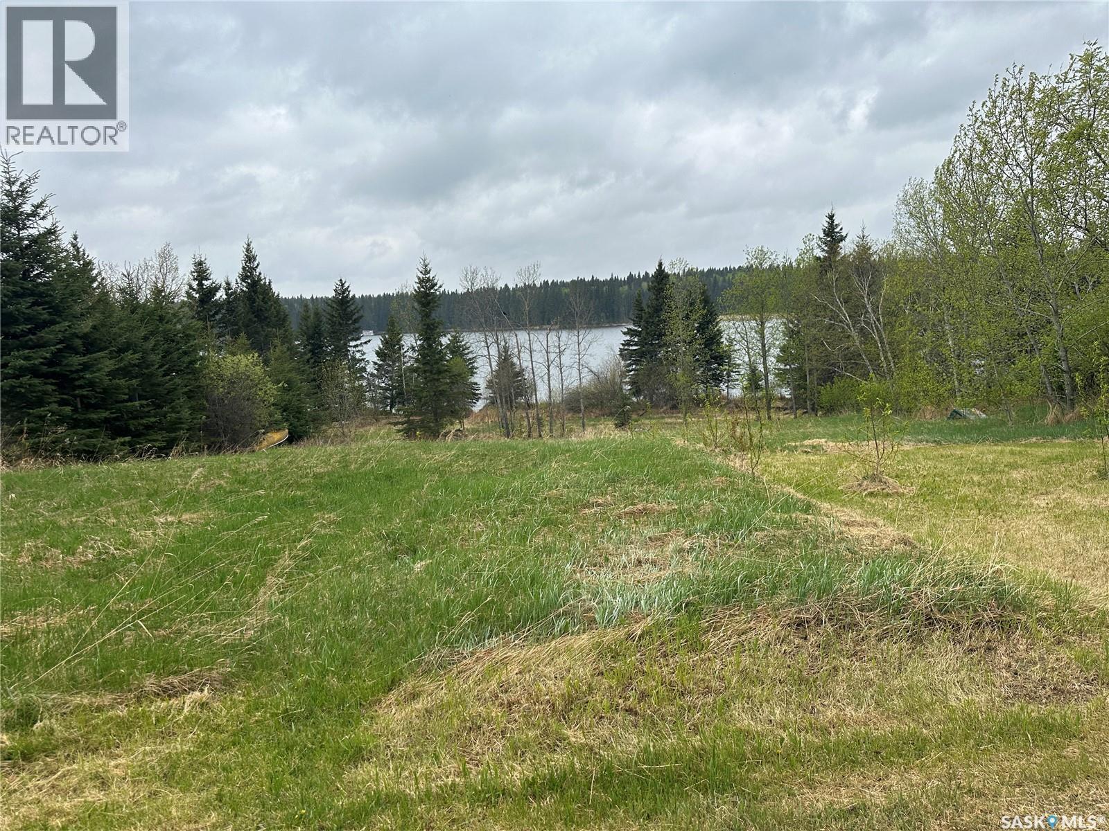 5&6 1st Avenue N, Big River, Saskatchewan S0J 0E0 - Photo 4 - SK040044