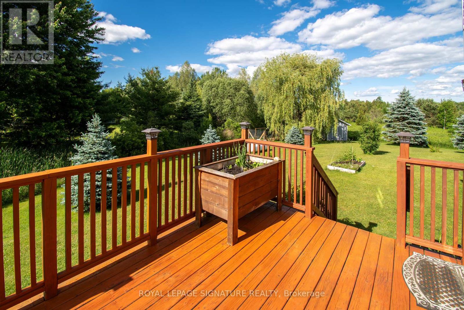 65 Cindy Lane, Adjala-Tosorontio, Ontario  L0M 1M0 - Photo 16 - N13464914