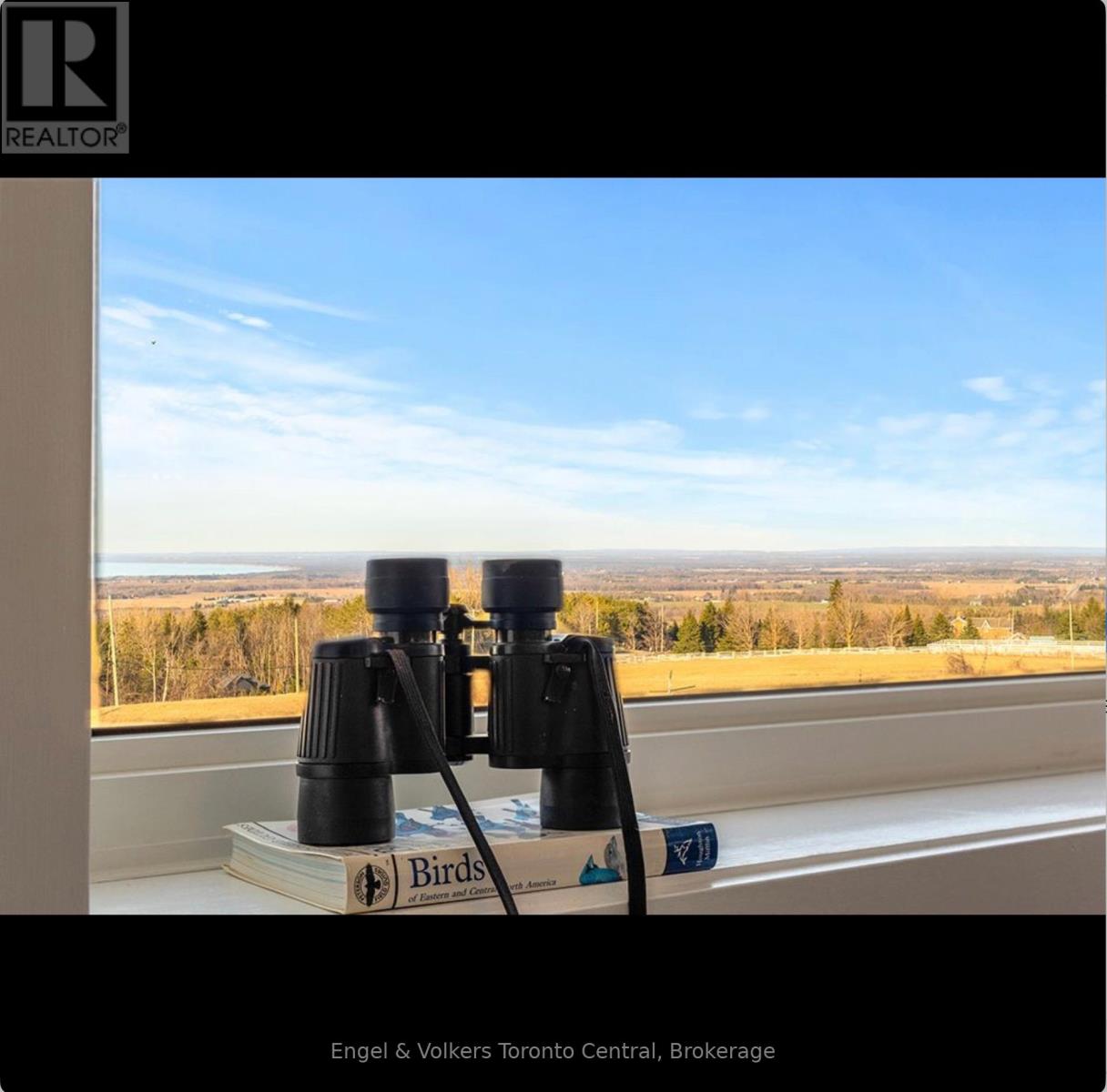 9263 91 County Road, Clearview, Ontario  L0M 1H0 - Photo 16 - S12745154
