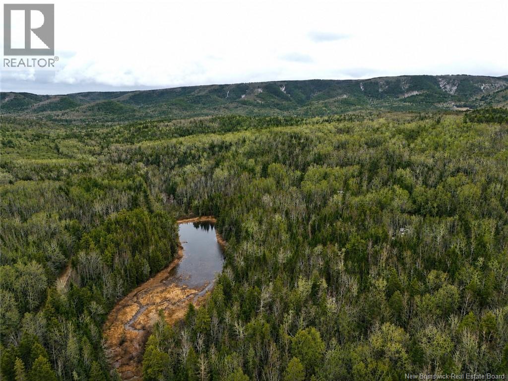 Lot Shaw Road, Shenstone, New Brunswick