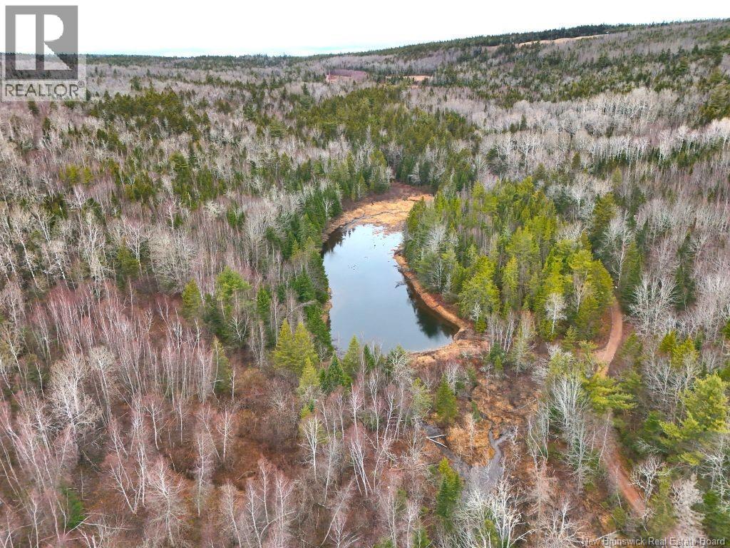 Lot Shaw Road, Shenstone, New Brunswick  E4H 4H7 - Photo 6 - NB137759