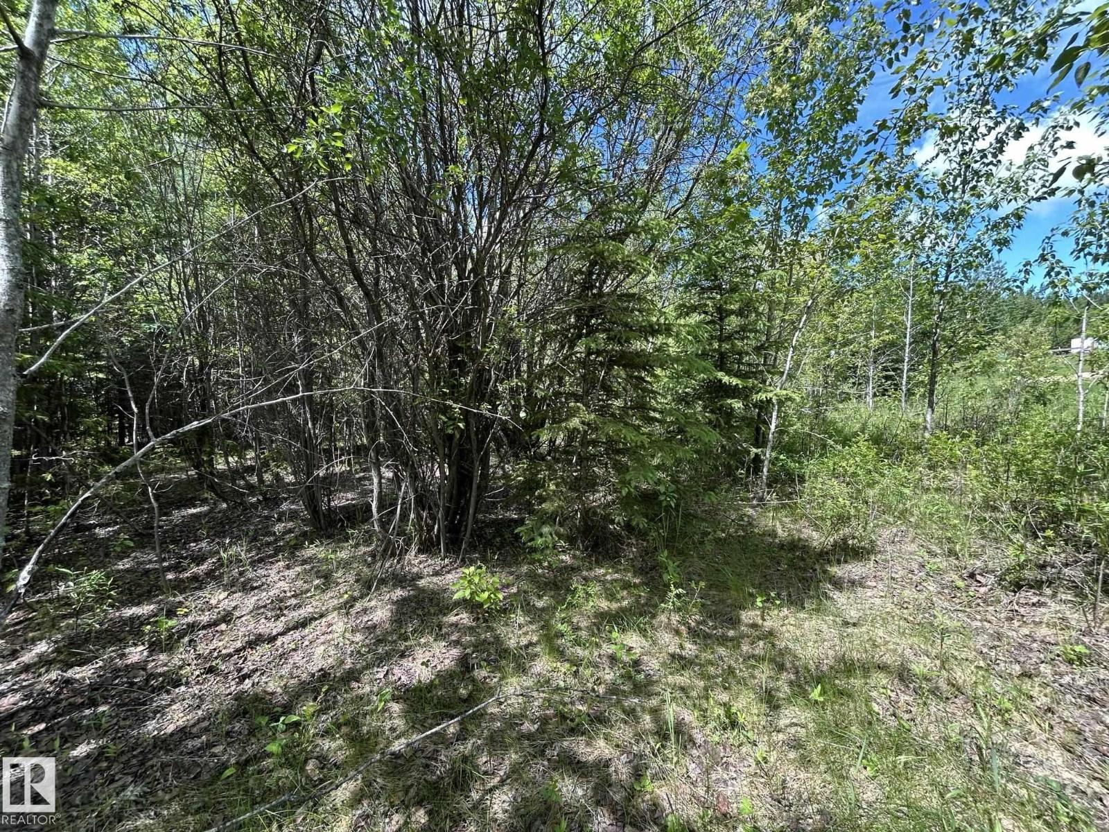 #26 59027 Rge Rd 232, Rural Thorhild County, Alberta  T0G 1L0 - Photo 10 - E4494542