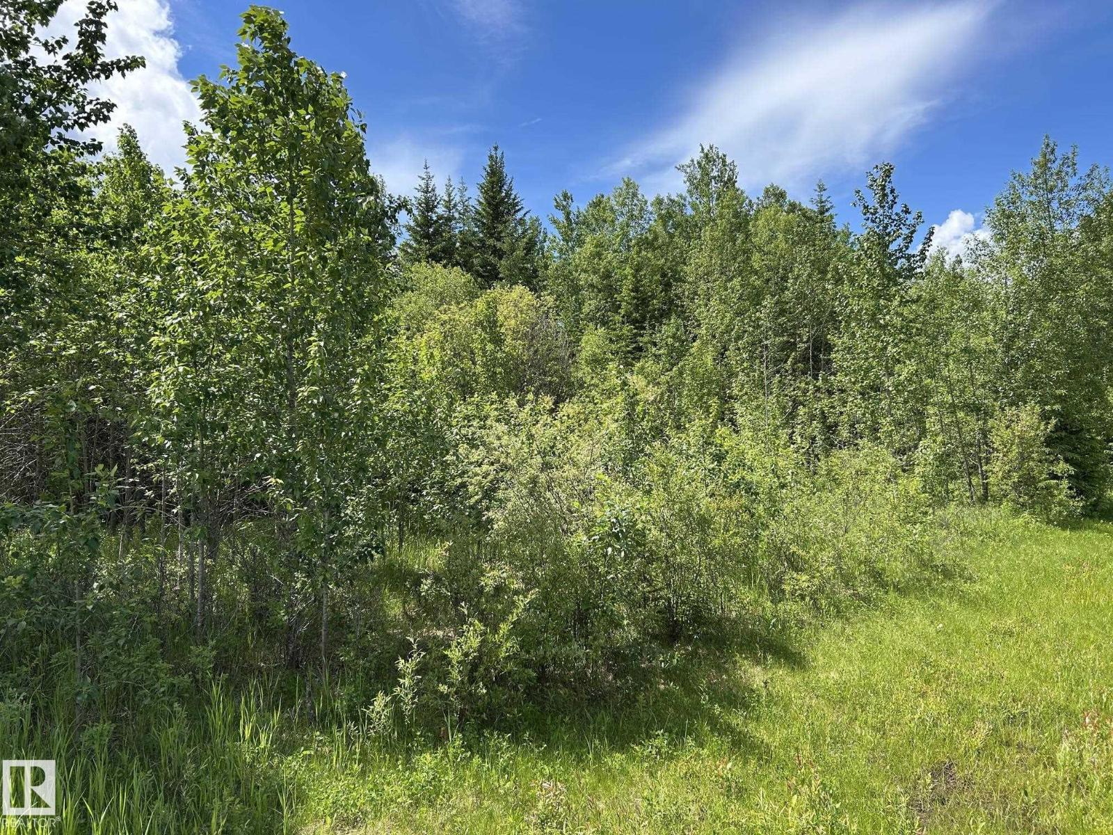 #26 59027 Rge Rd 232, Rural Thorhild County, Alberta  T0G 1L0 - Photo 16 - E4494542