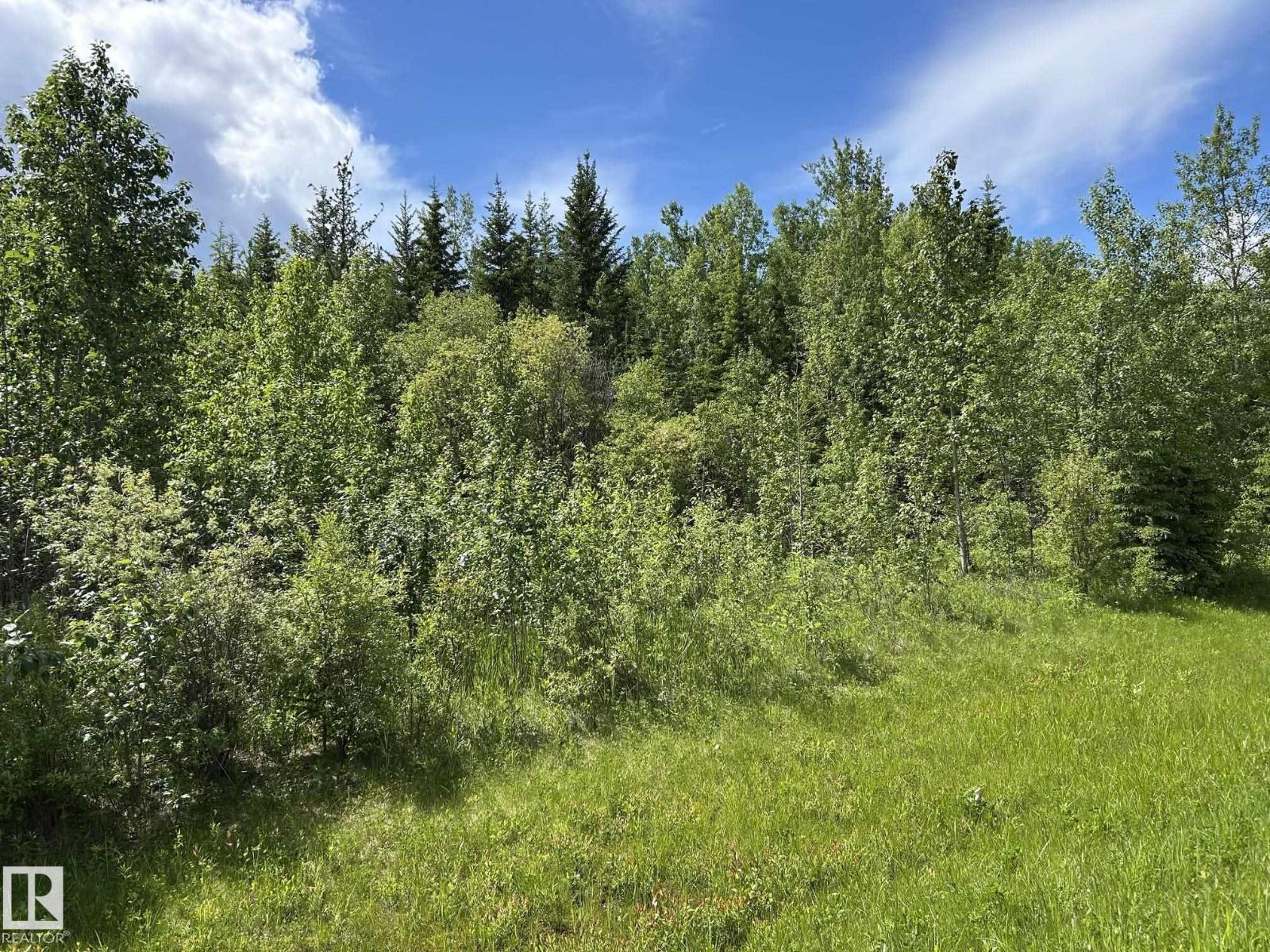 #26 59027 Rge Rd 232, Rural Thorhild County, Alberta  T0G 1L0 - Photo 17 - E4494542
