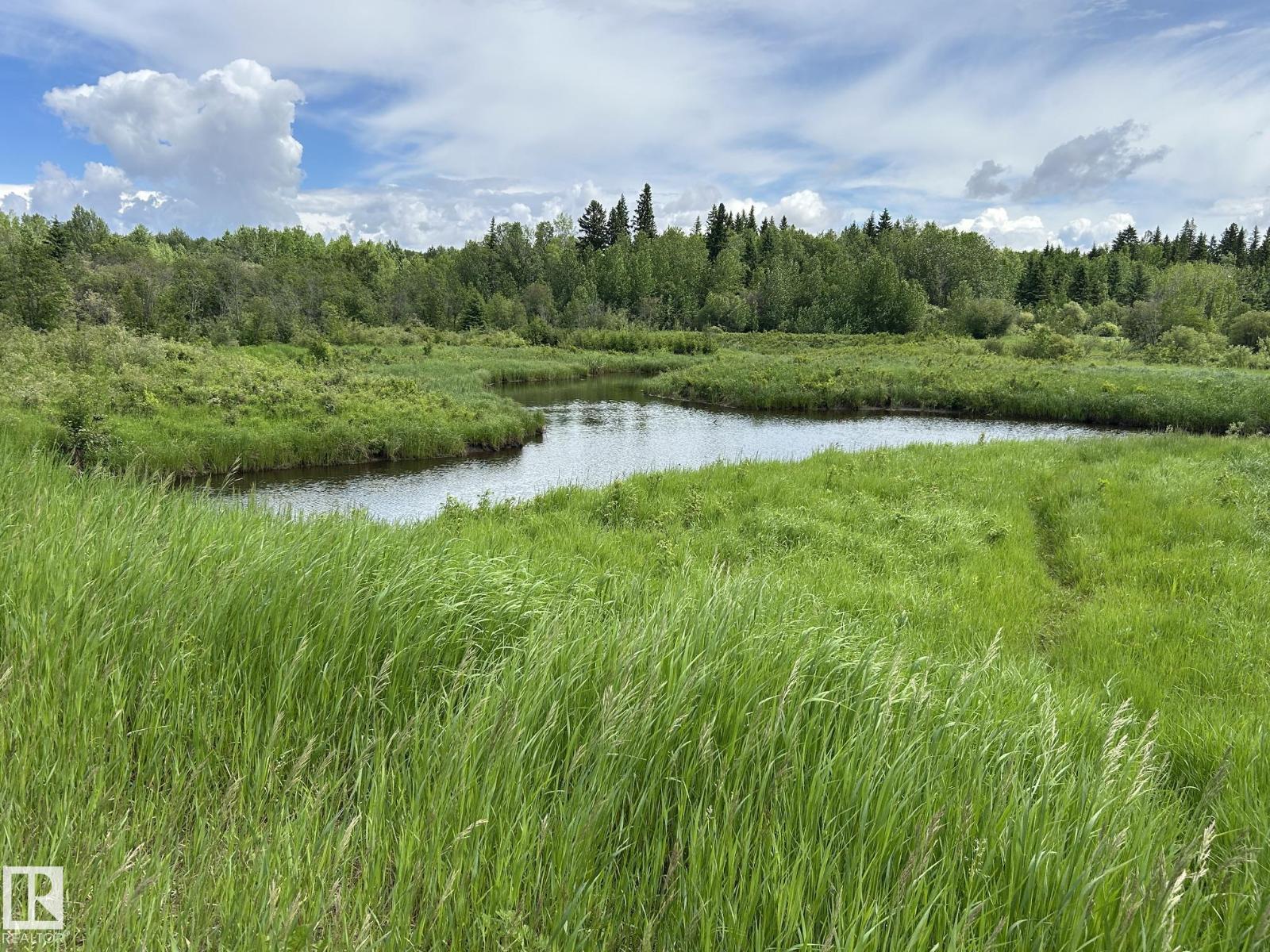 #26 59027 Rge Rd 232, Rural Thorhild County, Alberta  T0G 1L0 - Photo 19 - E4494542