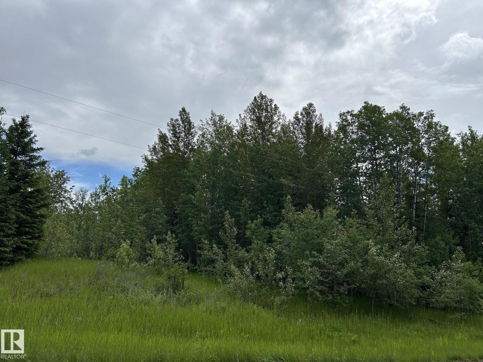 #26 59027 Rge Rd 232, Rural Thorhild County, Alberta  T0G 1L0 - Photo 2 - E4494542
