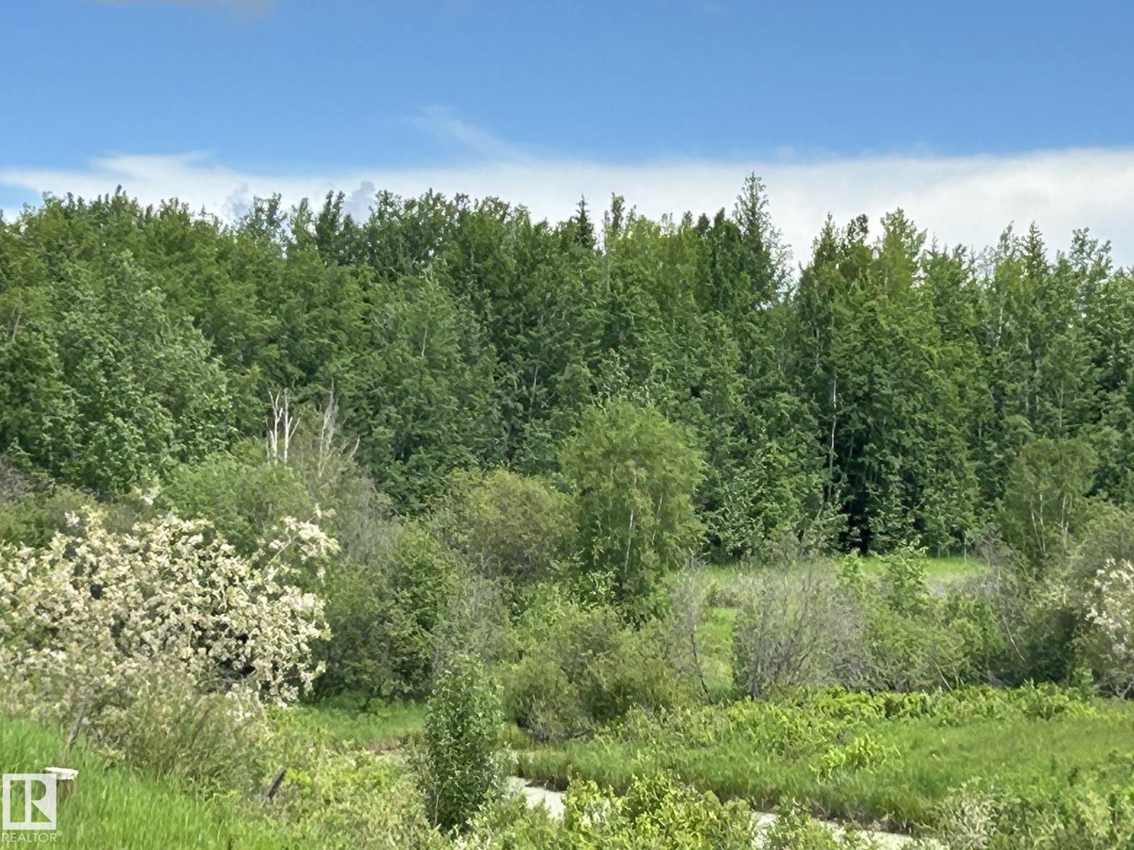 #26 59027 Rge Rd 232, Rural Thorhild County, Alberta  T0G 1L0 - Photo 20 - E4494542