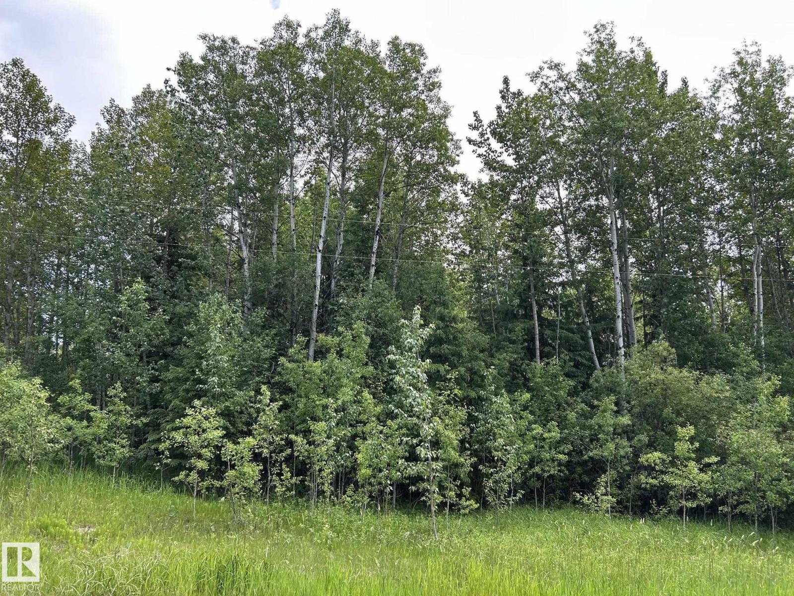 #26 59027 Rge Rd 232, Rural Thorhild County, Alberta  T0G 1L0 - Photo 3 - E4494542