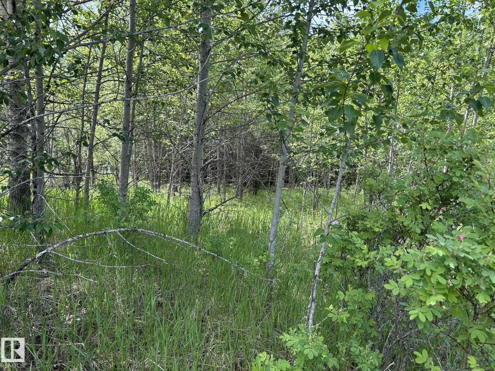 #26 59027 Rge Rd 232, Rural Thorhild County, Alberta  T0G 1L0 - Photo 5 - E4494542