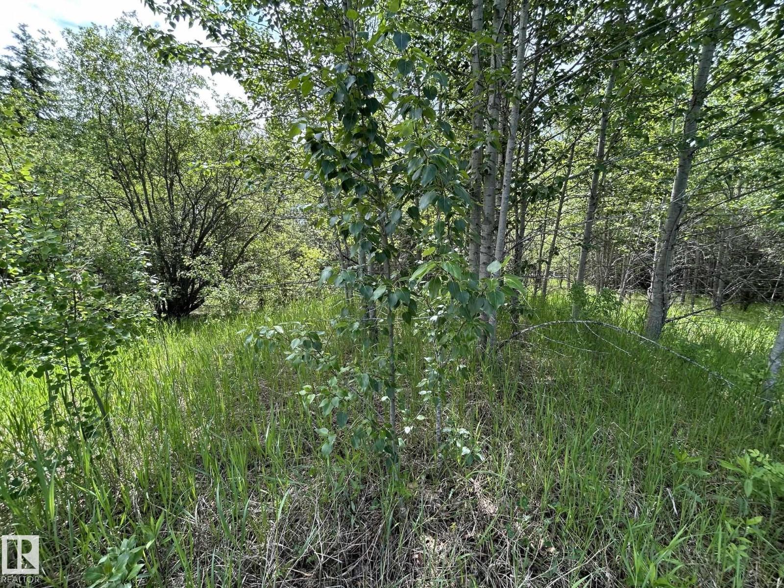 #26 59027 Rge Rd 232, Rural Thorhild County, Alberta  T0G 1L0 - Photo 6 - E4494542