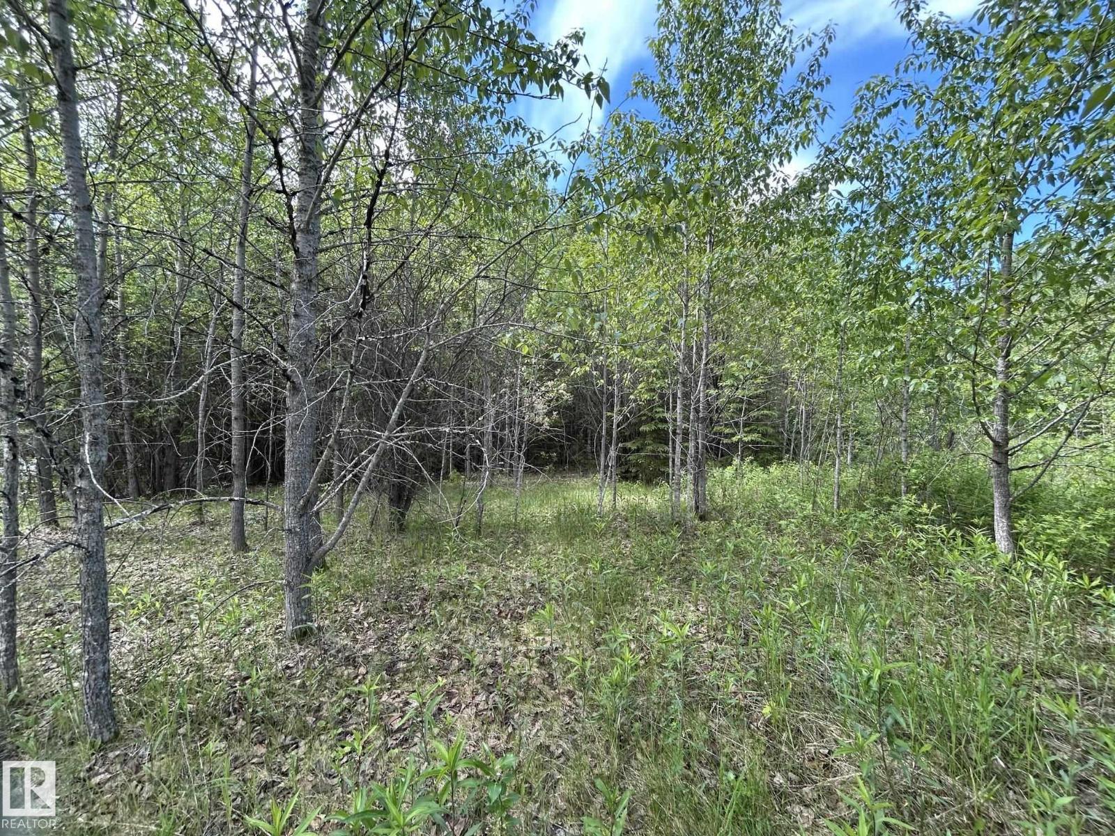 #26 59027 Rge Rd 232, Rural Thorhild County, Alberta  T0G 1L0 - Photo 7 - E4494542