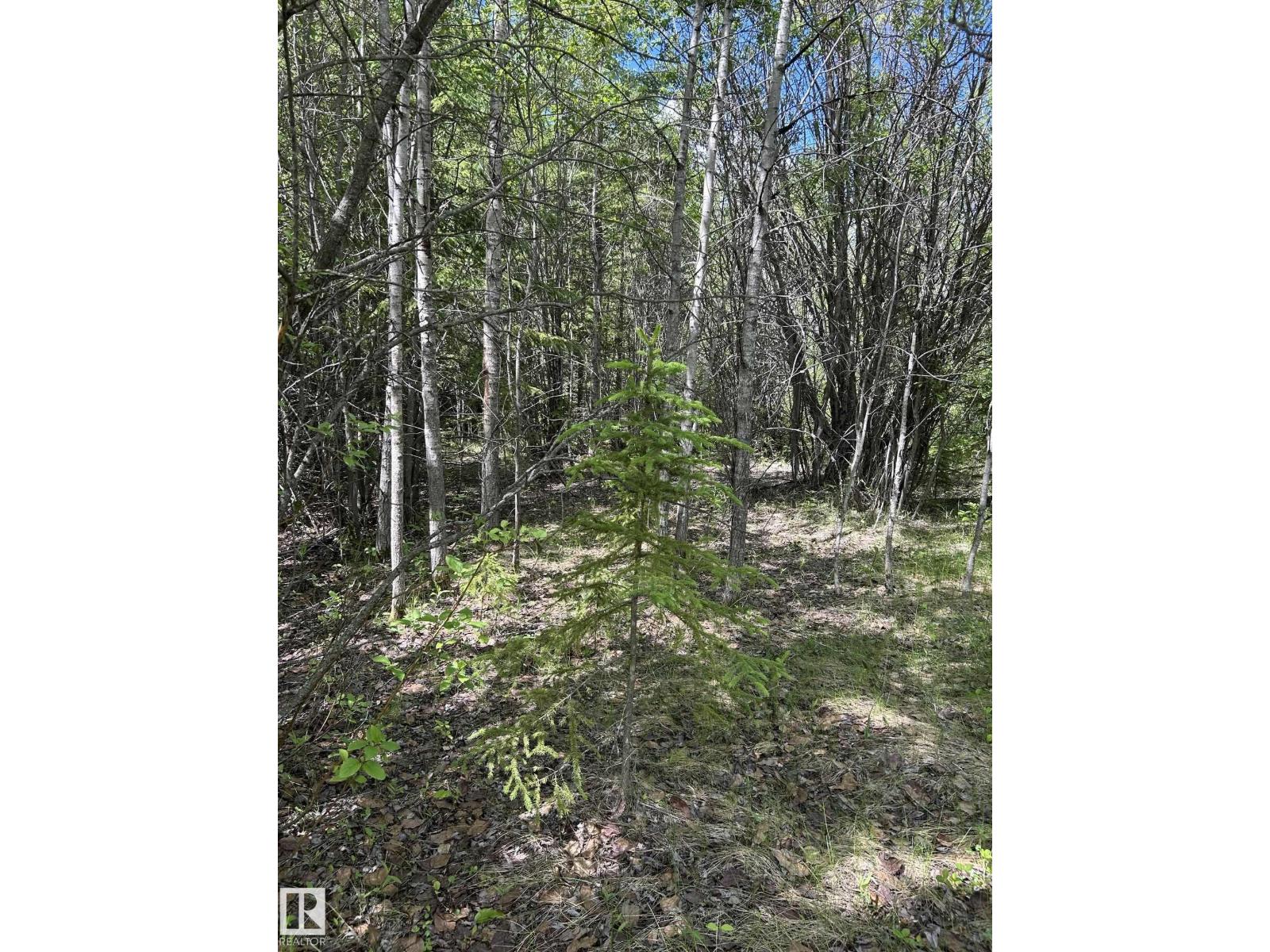 #26 59027 Rge Rd 232, Rural Thorhild County, Alberta  T0G 1L0 - Photo 9 - E4494542