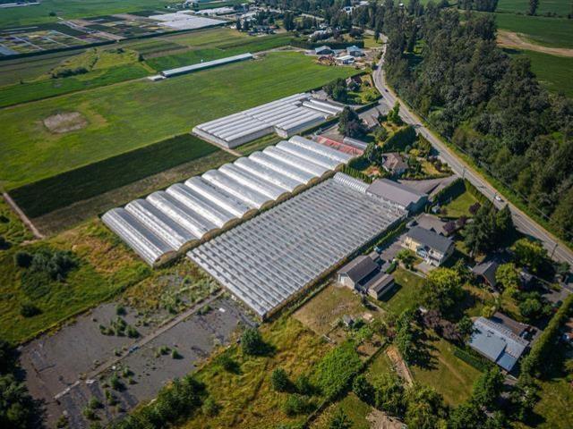 50284 Yale Road, Rosedale, Rosedale, British Columbia  V2P 6H4 - Photo 6 - R3137152