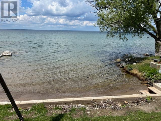 781 Rockaway Road, Georgina, Ontario  L0E 1S0 - Photo 21 - N13465346