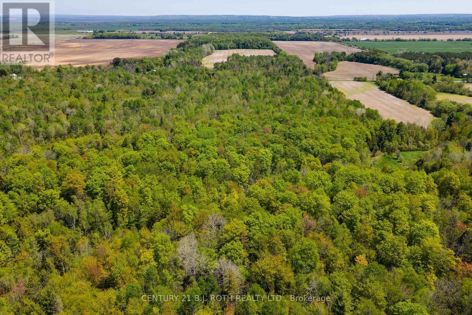 000 12/13 Side Road, Clearview, Ontario  L0M 1N0 - Photo 4 - S13465526