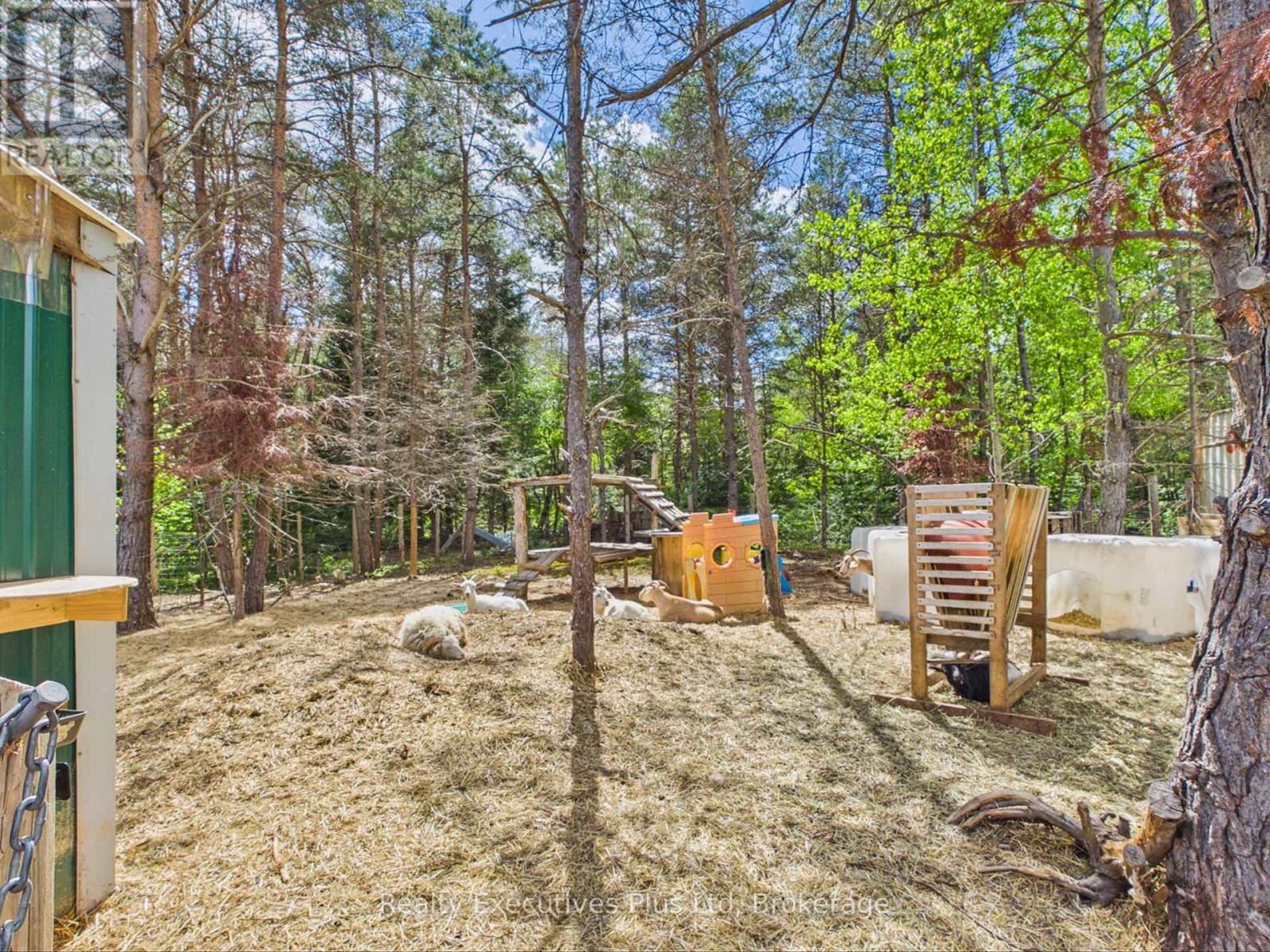 235 Rock Point Road, Kearney, Ontario  P0A 1M0 - Photo 37 - X13247972