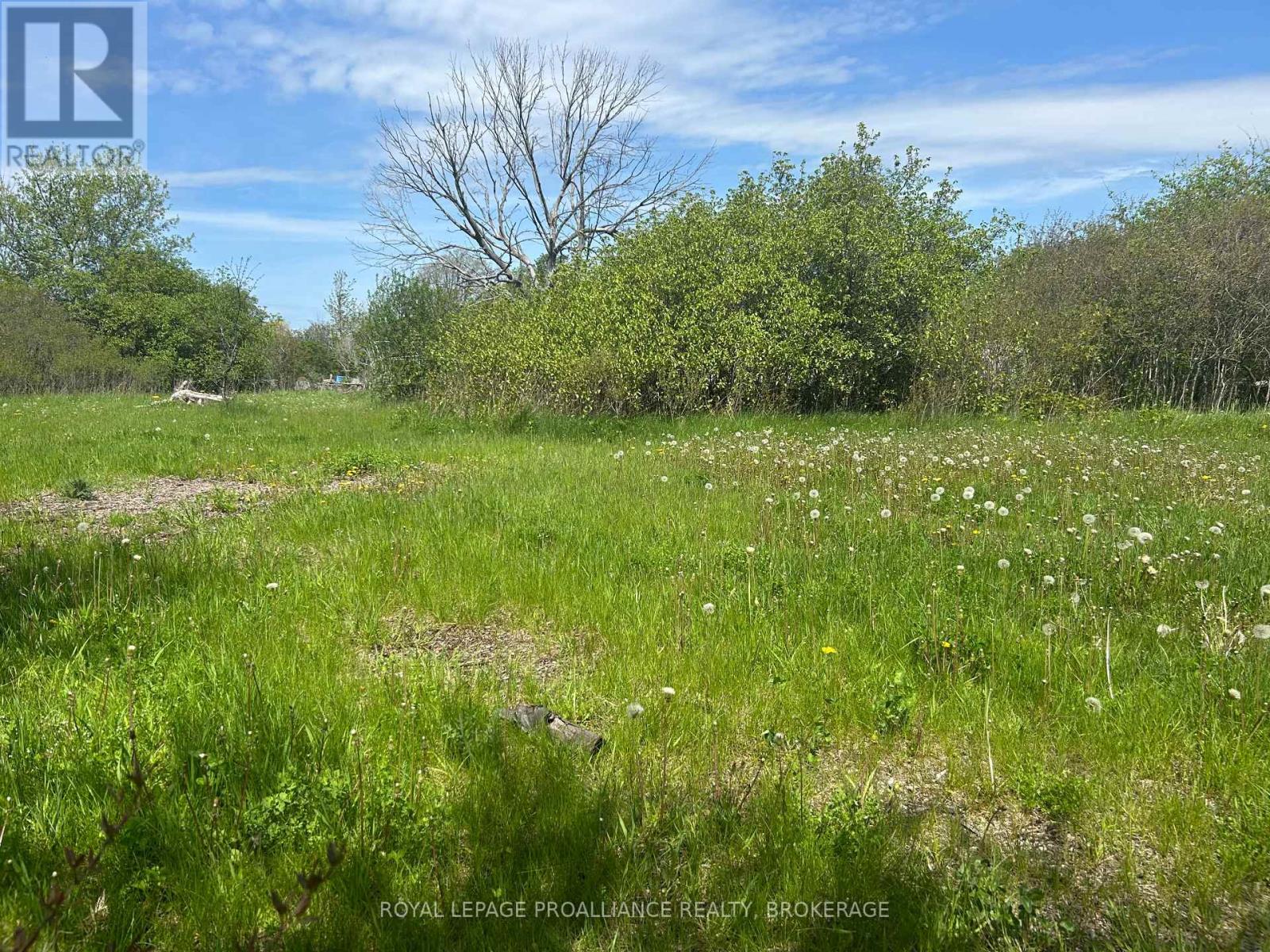 Lot 75-81 Plan 65 Cross Street, Frontenac Islands, Ontario  K0H 2Y0 - Photo 4 - X13464342