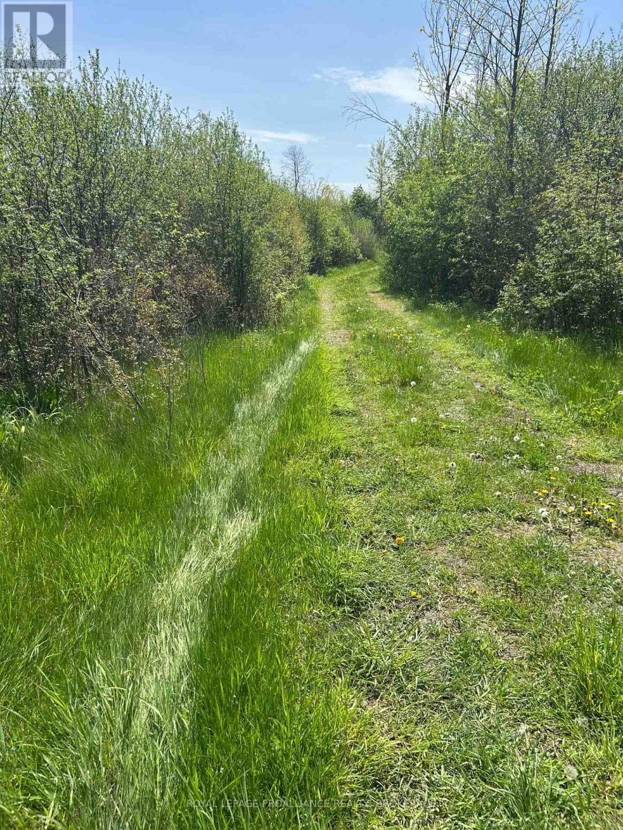 Lot 75-81 Plan 65 Cross Street, Frontenac Islands, Ontario  K0H 2Y0 - Photo 2 - X13464342