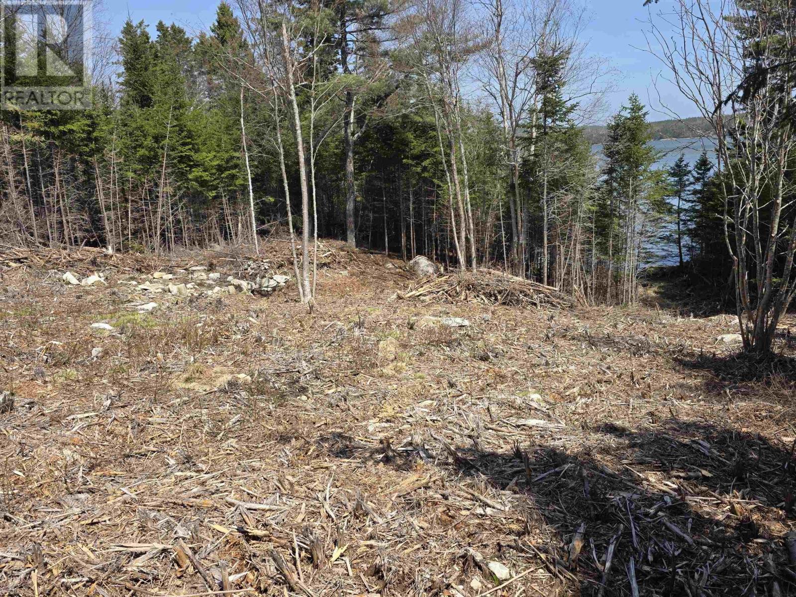 Lot 3 West Petpeswick Road, Petpeswick, Nova Scotia  B0J 2L0 - Photo 2 - 202600988