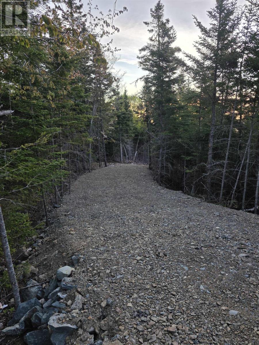 Lot 3 West Petpeswick Road, Petpeswick, Nova Scotia  B0J 2L0 - Photo 4 - 202600988
