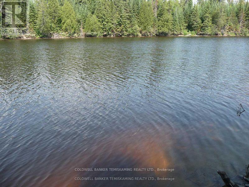 Lot 1 Montreal River, Timiskaming, Ontario  P0J 1M0 - Photo 5 - T13466020