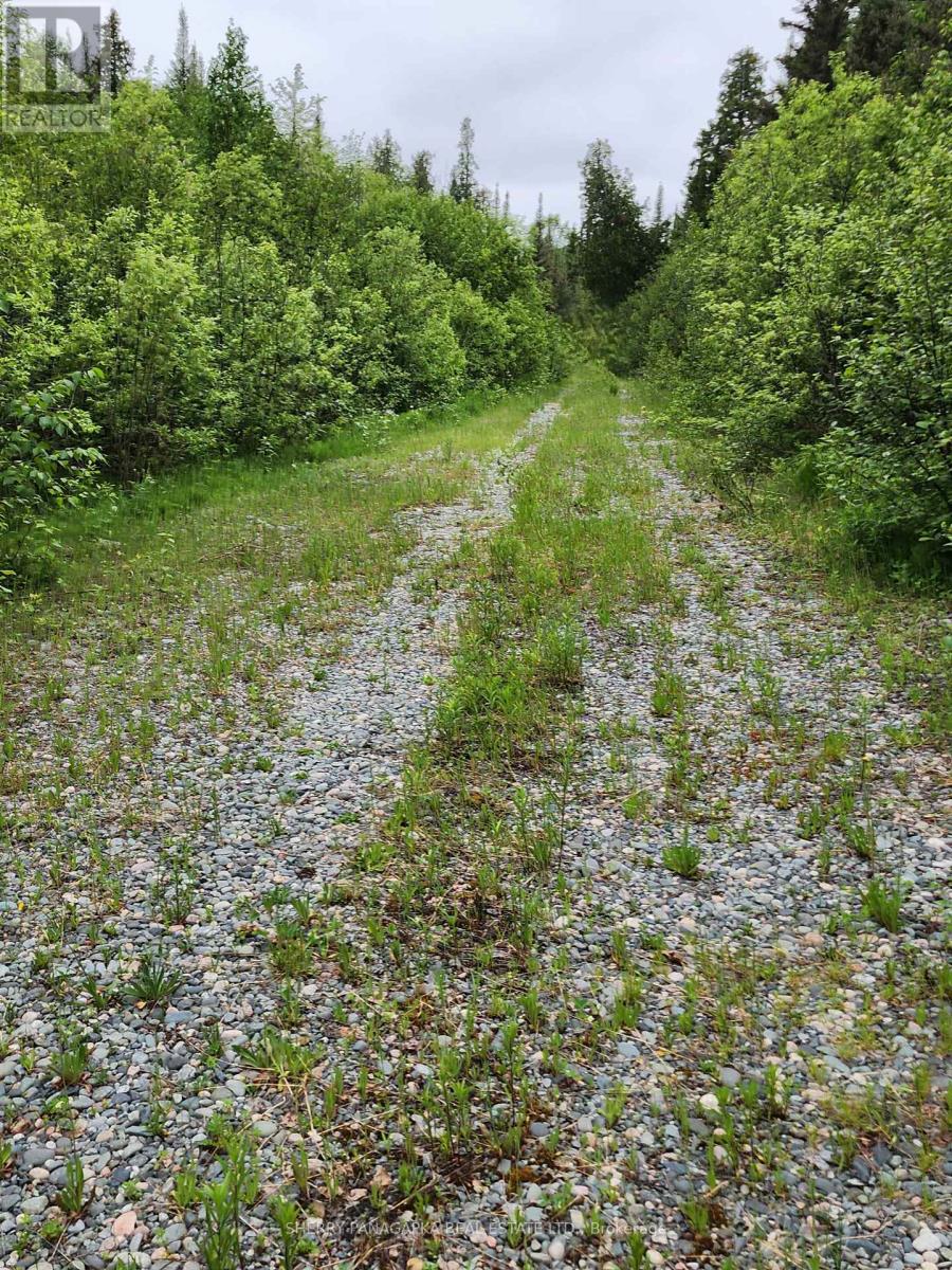 Lt 6 Pl M325tim; Pcl21088 Carter Crescent, Kirkland Lake, Ontario  P0K 1L0 - Photo 6 - T13466220