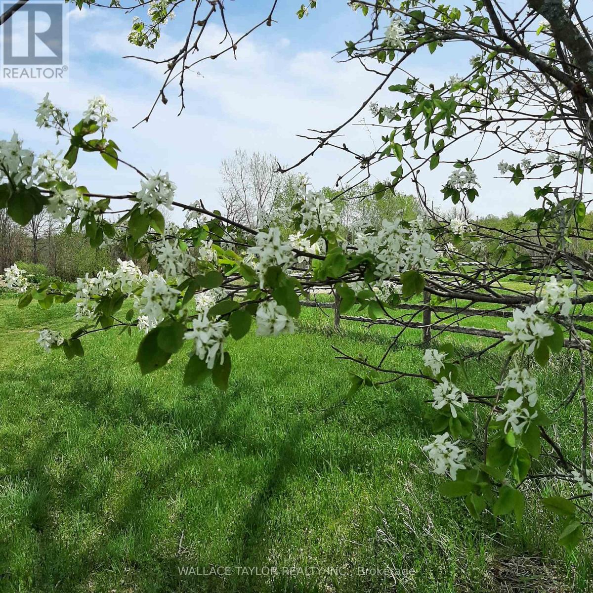 524 Hoover Road, Stirling-Rawdon, Ontario  K0K 3E0 - Photo 27 - X12964660