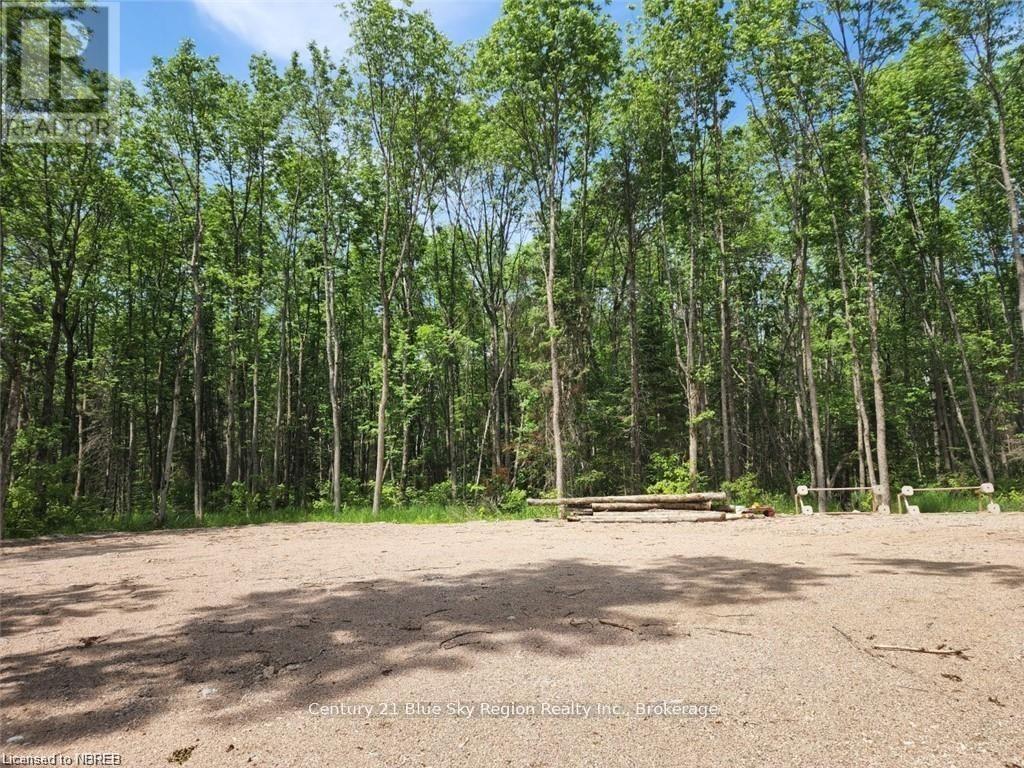 360 Grahamvale Road, Chisholm, Ontario  P0H 1B0 - Photo 4 - X13466066