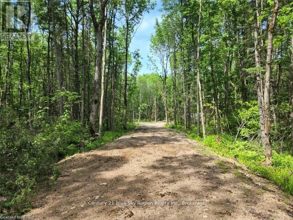 360 Grahamvale Road, Chisholm, Ontario  P0H 1B0 - Photo 5 - X13466066