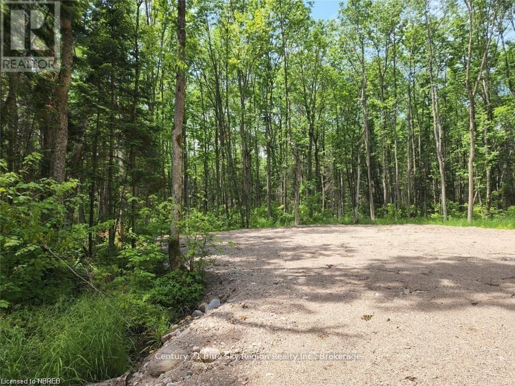 360 Grahamvale Road, Chisholm, Ontario  P0H 1B0 - Photo 6 - X13466066