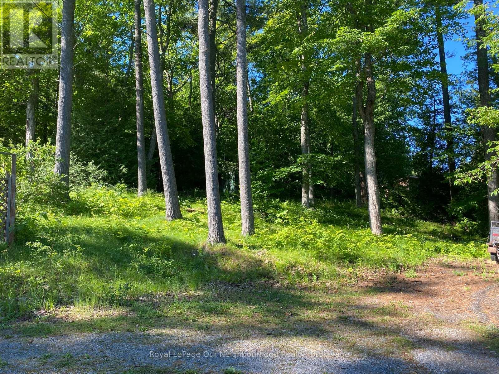 14231 Little Lake Road, Cramahe, Ontario  K0K 1H0 - Photo 36 - X13462412