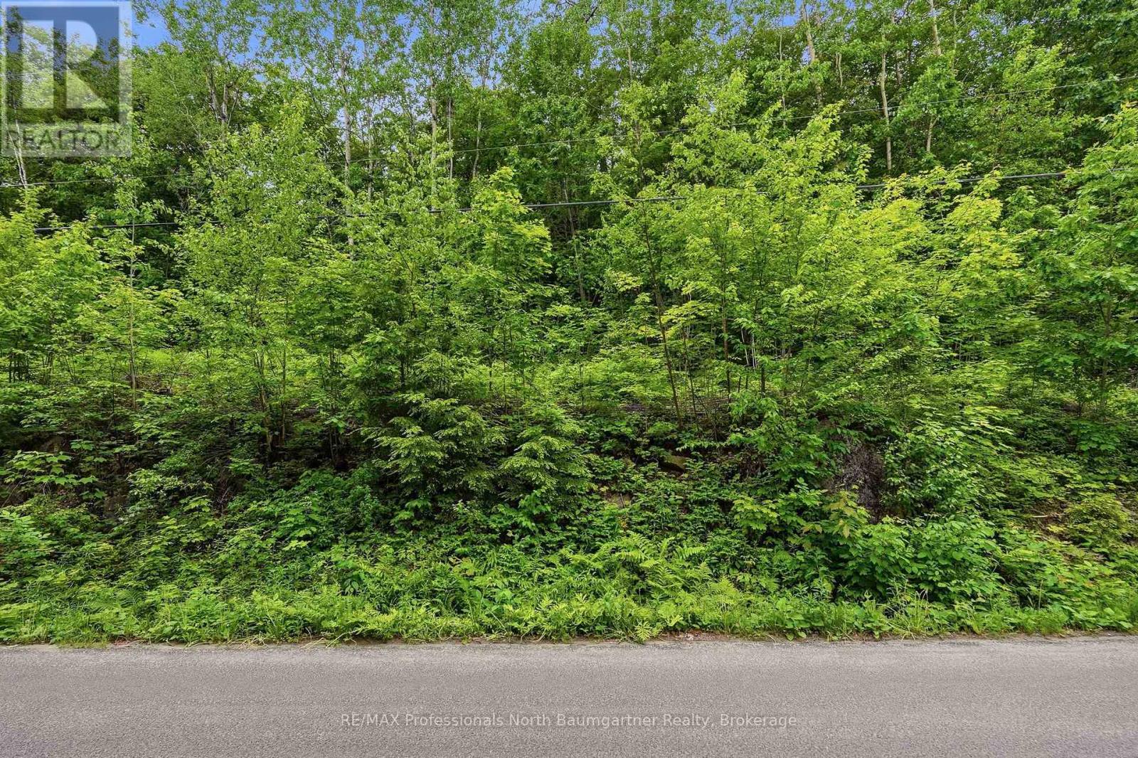 0 Kushog Lake Road, Algonquin Highlands (Stanhope), Ontario  K0M 1S0 - Photo 2 - X13466566