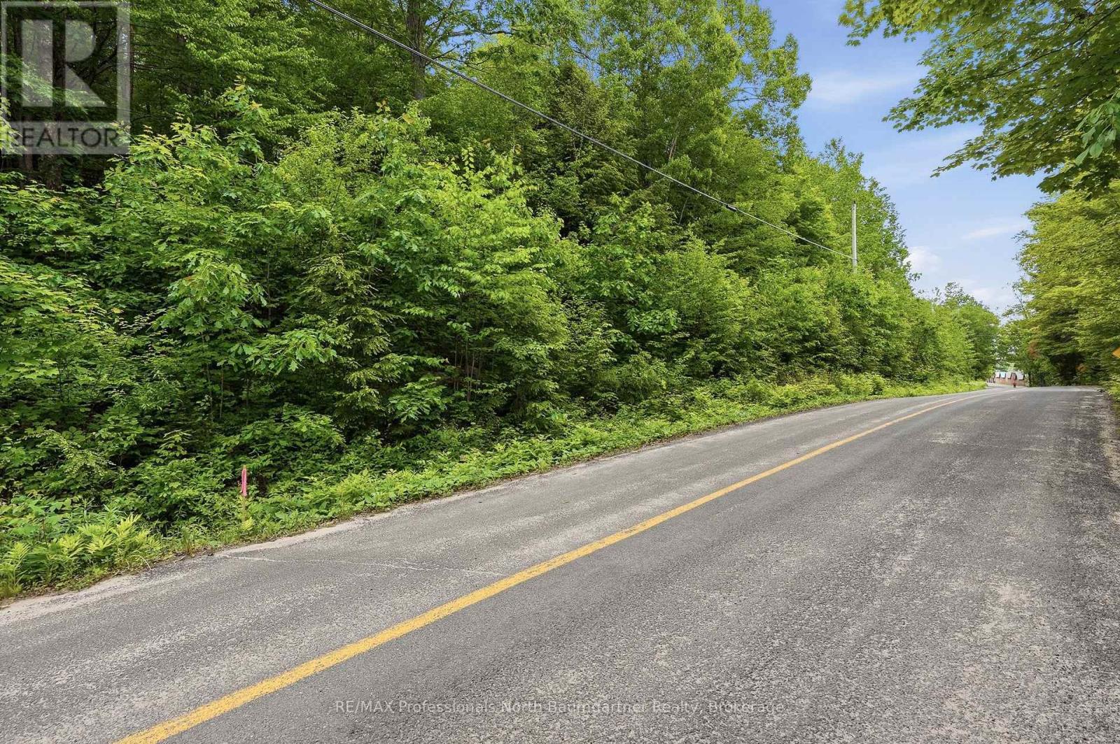 0 Kushog Lake Road, Algonquin Highlands (Stanhope), Ontario  K0M 1S0 - Photo 3 - X13466566