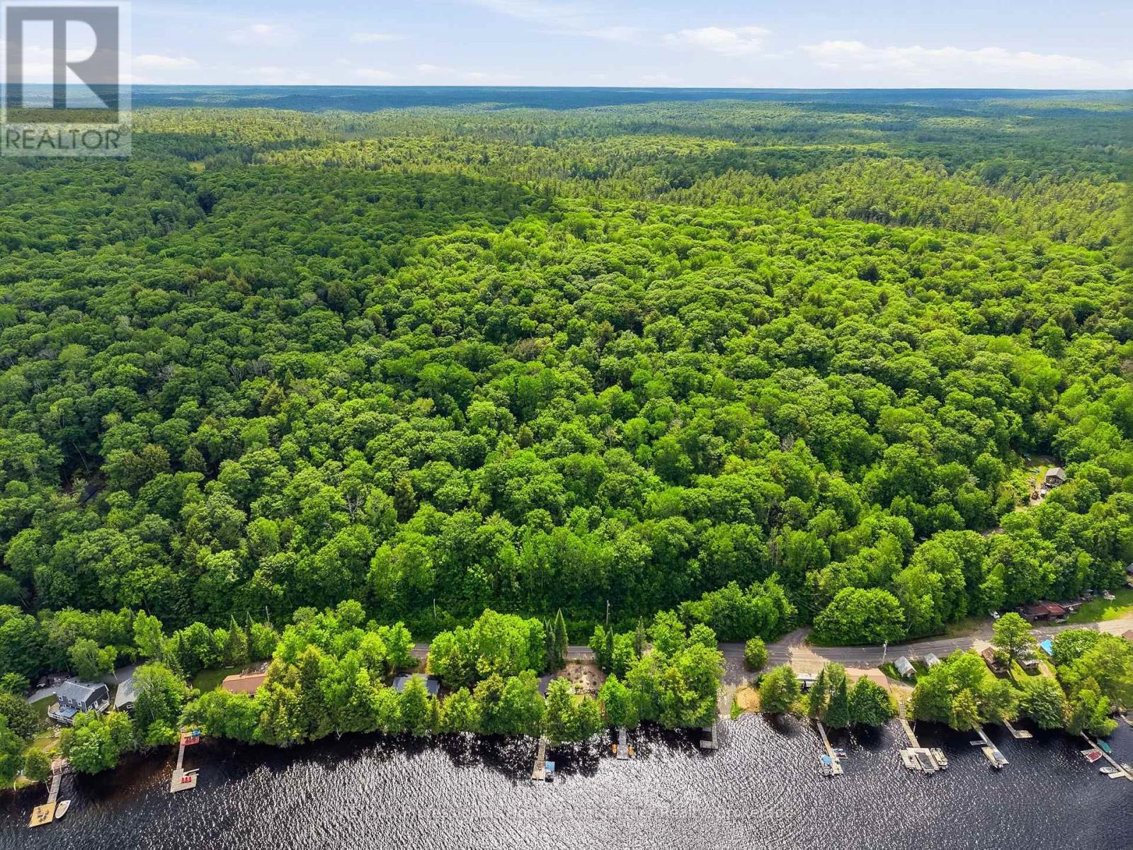 0 Kushog Lake Road, Algonquin Highlands (Stanhope), Ontario  K0M 1S0 - Photo 4 - X13466566
