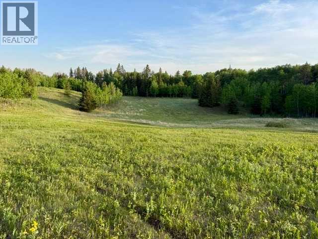 10, 2168 587 Highway, Rural Red Deer County, Alberta  T0M 0K0 - Photo 35 - A2312110