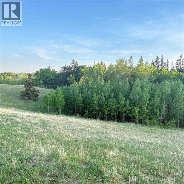 10, 2168 587 Highway, Rural Red Deer County, Alberta  T0M 0K0 - Photo 37 - A2312110