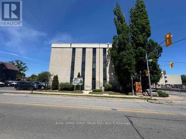 202 - 118 Queen Street W, Brampton, Ontario L6V 1B1 - Photo 3 - W13466446