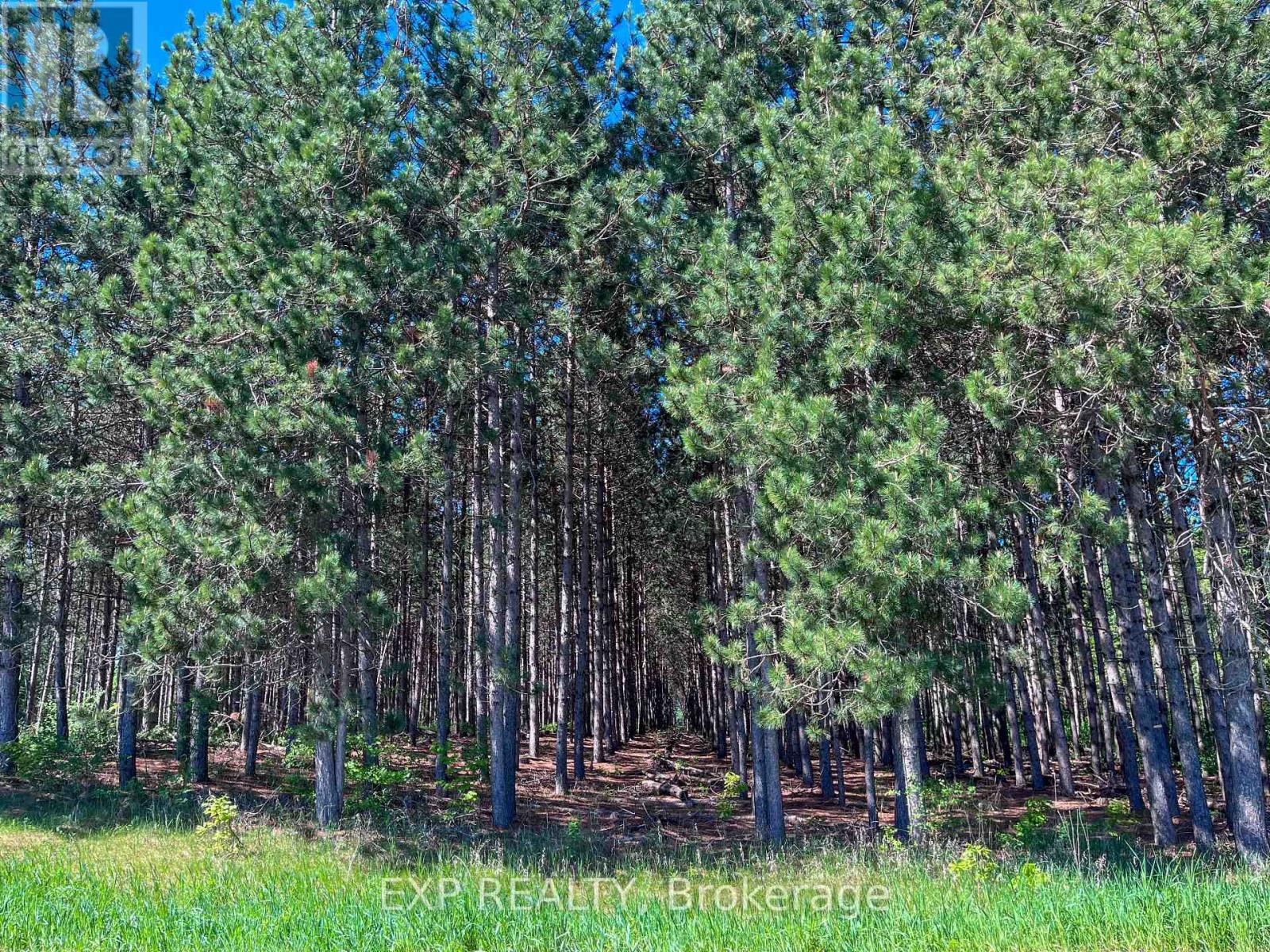 00 Johnston Road, Horton, Ontario  K7V 3Z8 - Photo 13 - X13466900
