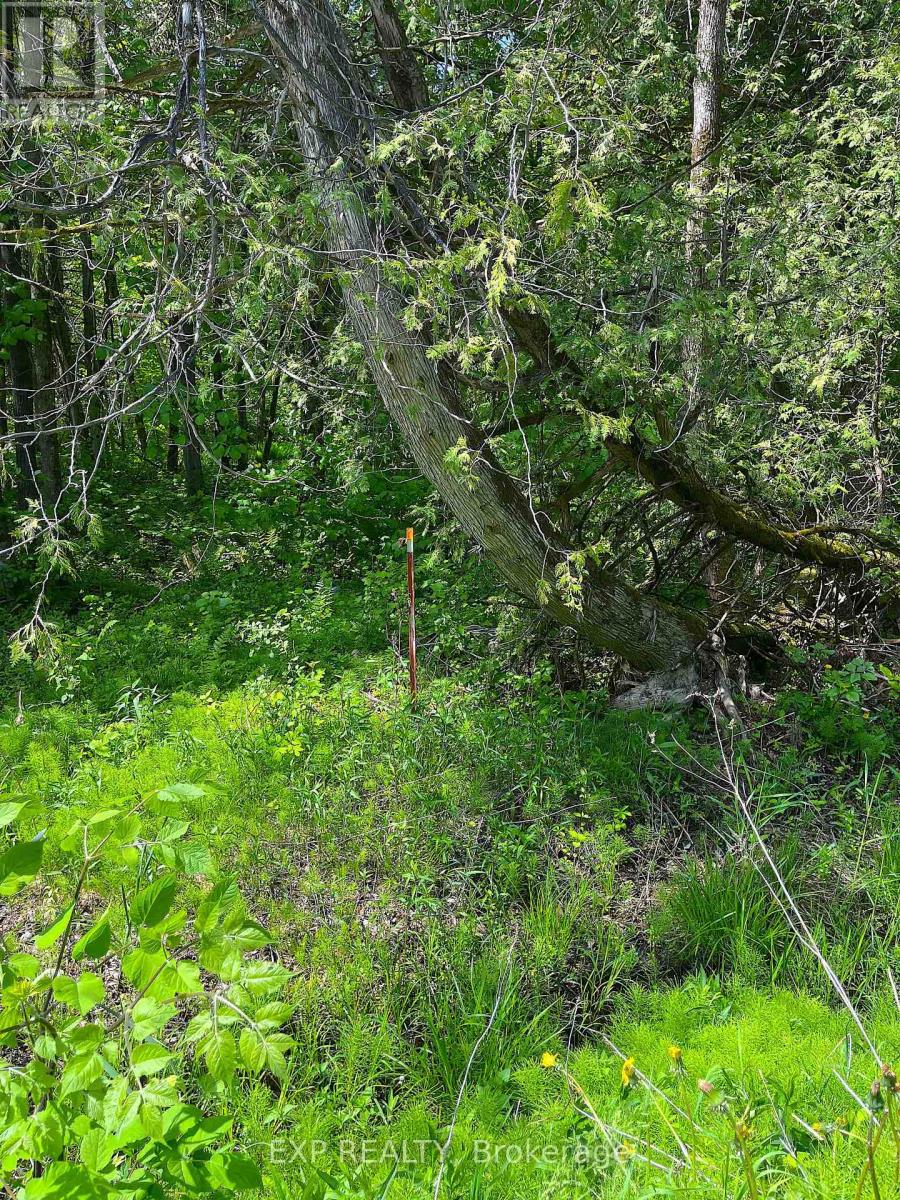 00 Johnston Road, Horton, Ontario  K7V 3Z8 - Photo 5 - X13466900