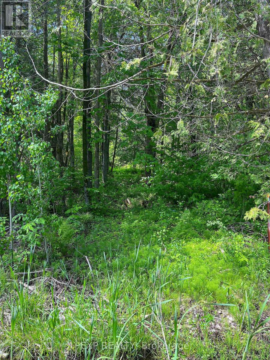 00 Johnston Road, Horton, Ontario  K7V 3Z8 - Photo 6 - X13466900