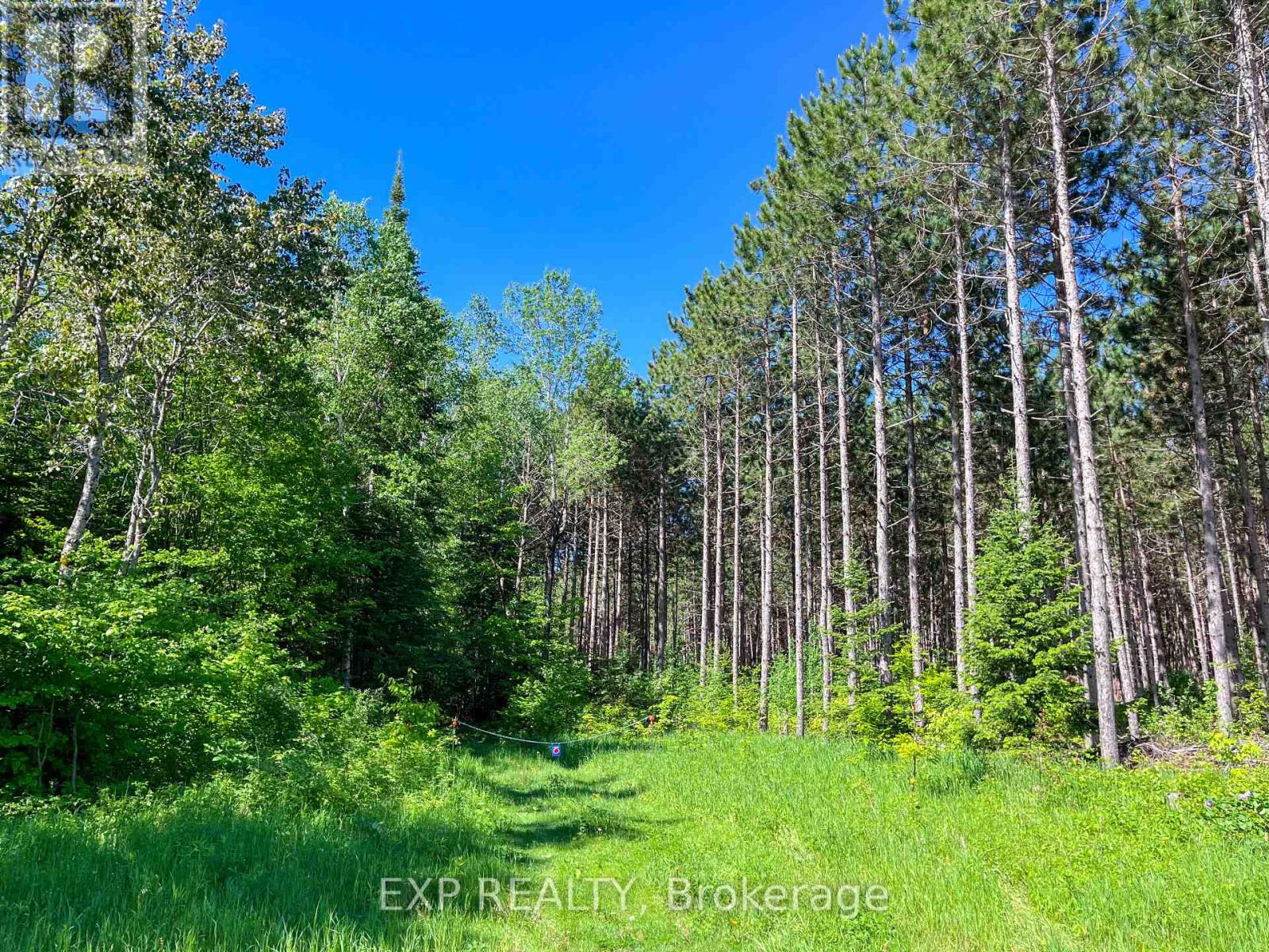 00 Johnston Road, Horton, Ontario  K7V 3Z8 - Photo 7 - X13466900